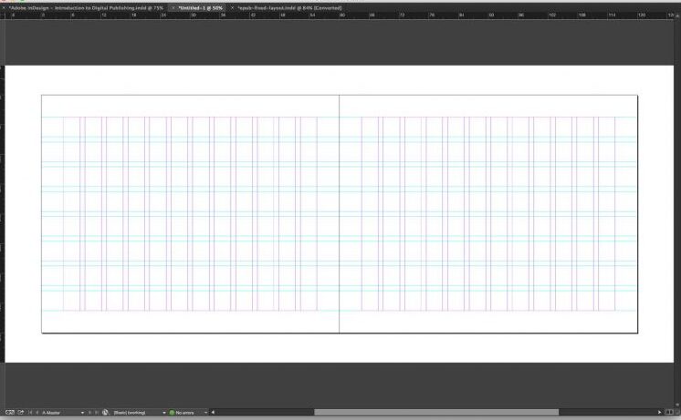 InDesign spread with evenly distributed outlines for rows and columns.