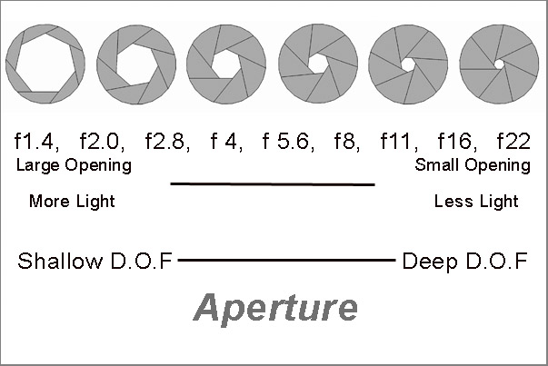 Image showing the size of a lens decreasing as the F stop increases.